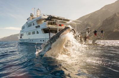 shark-7-boat-pexels-adil-schindler-4632307